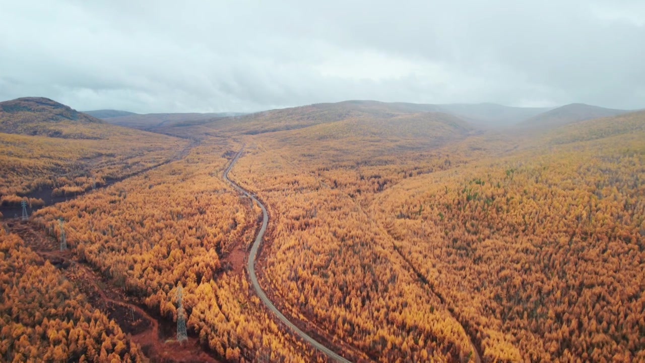 内蒙古呼伦贝尔大兴安岭林区深处秋天雨后自然风景航拍视频购买