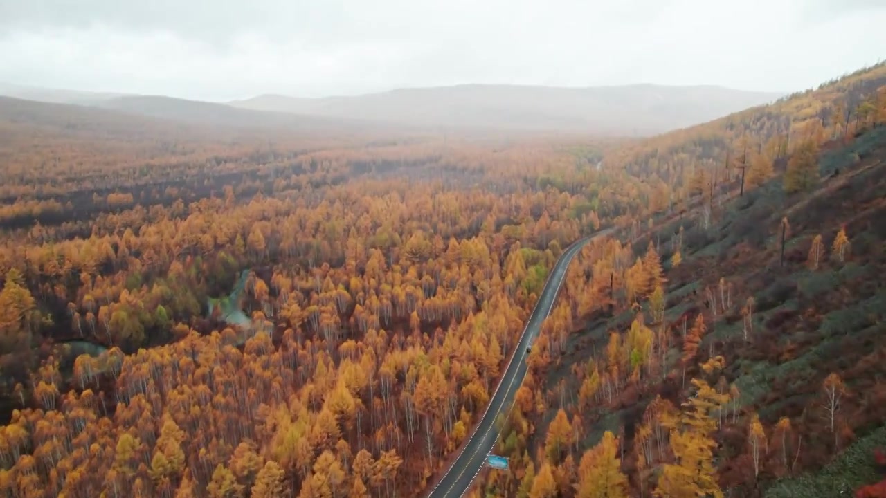 内蒙古呼伦贝尔大兴安岭林区深处秋天雨后自然风景航拍视频素材