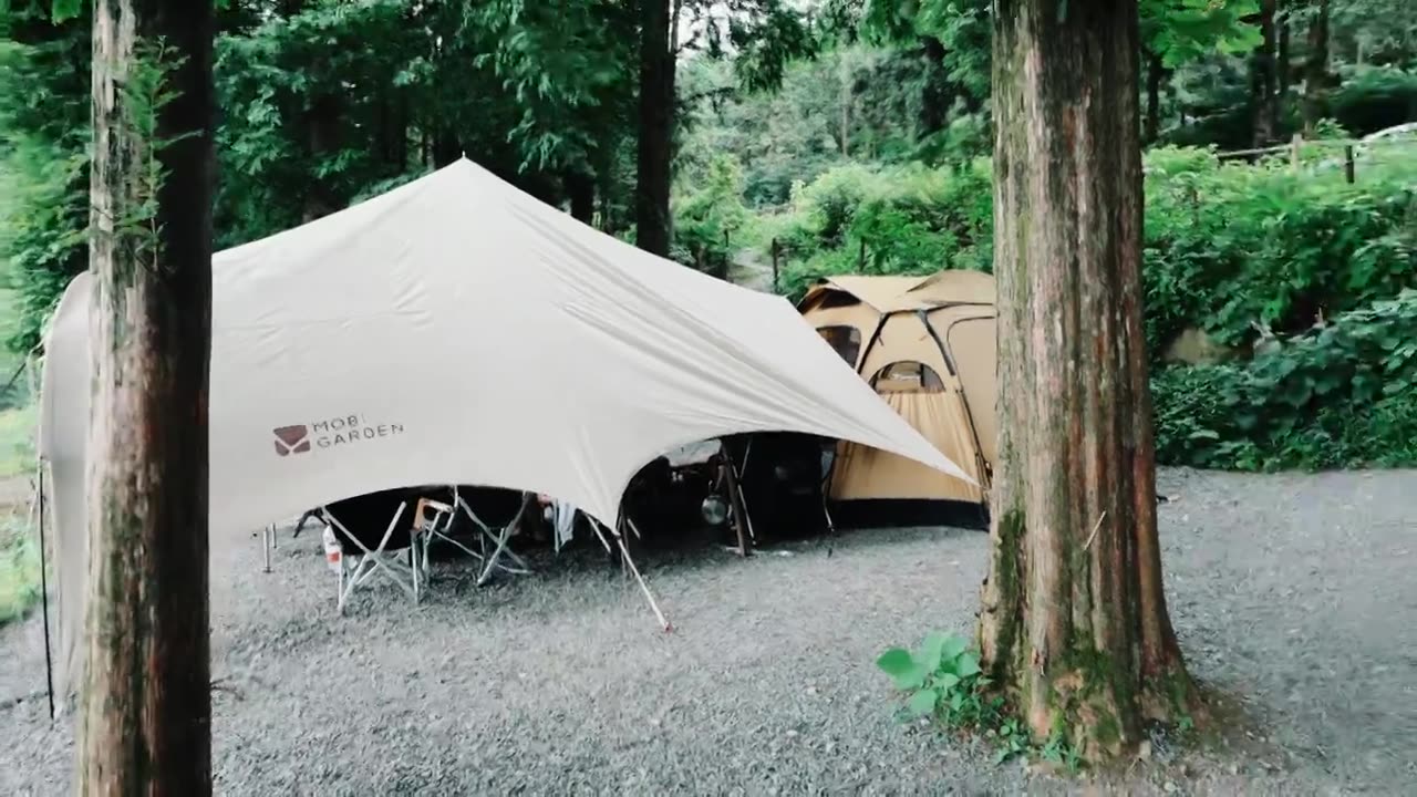 莫干山森林里的露营地和帐篷（合集）视频素材