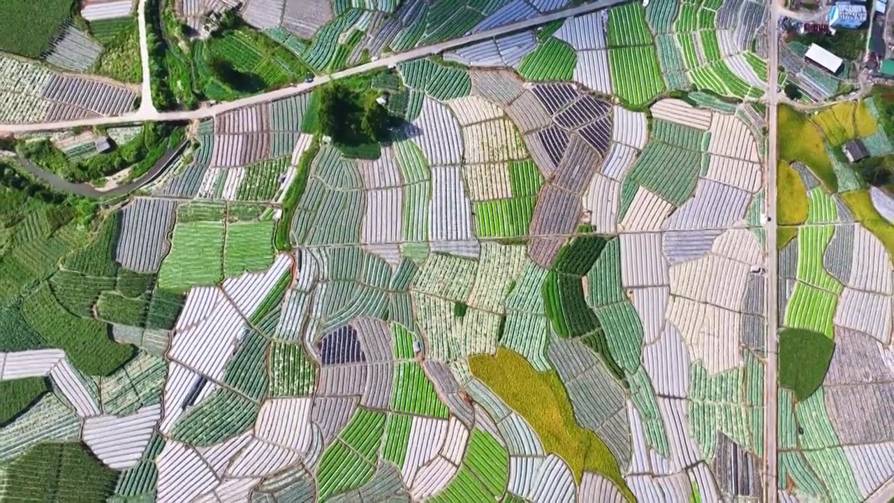 福州现代农业种植基地视频素材