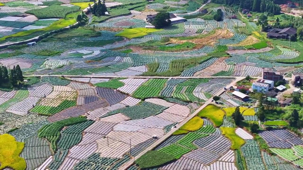 福州现代农业种植基地视频素材