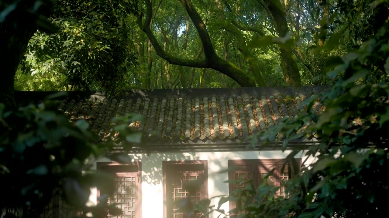 阳光透过密林照射进园林的建筑屋顶墙面视频素材