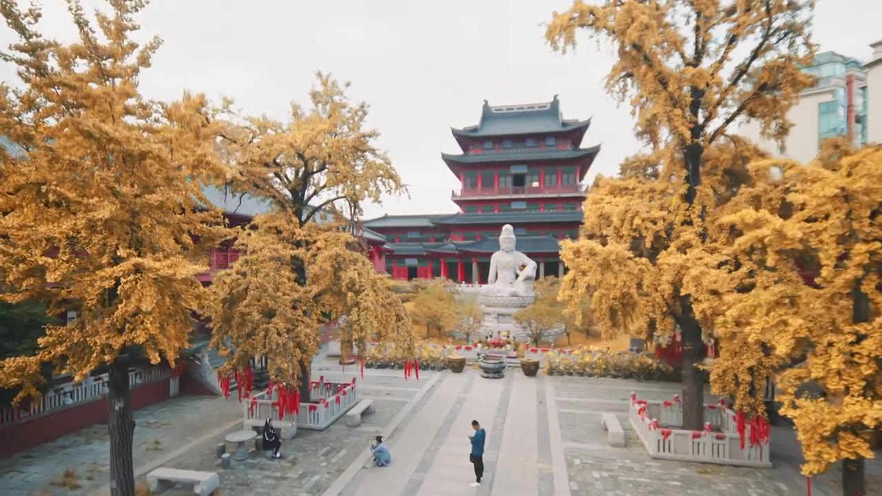 秋天的南京毗卢寺视频下载