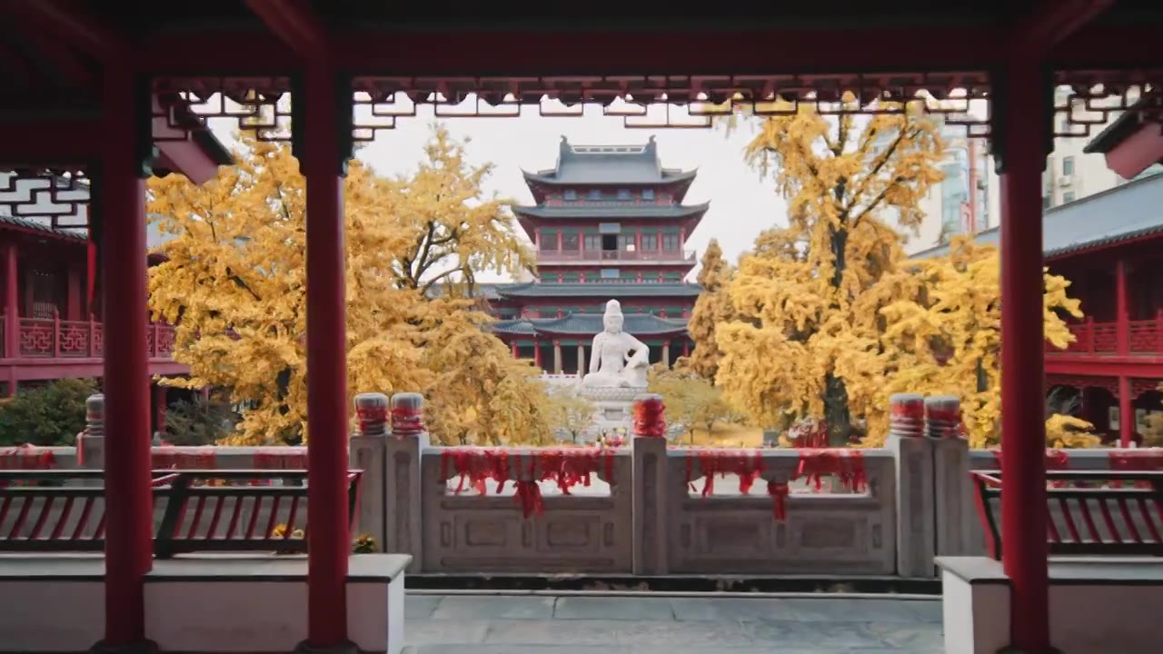 秋天南京毗卢寺银杏黄了视频下载