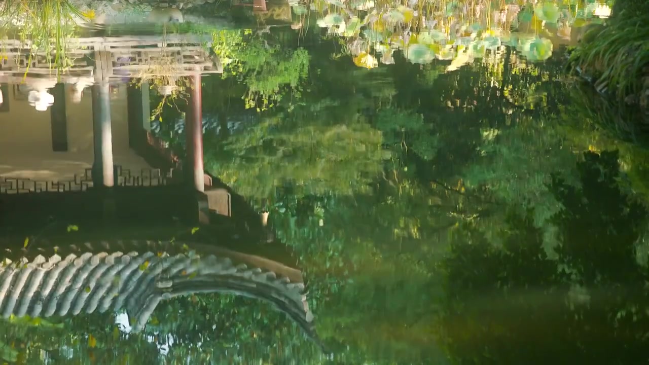 园林中荷塘水中树林，亭榭，荷叶的倒影视频素材