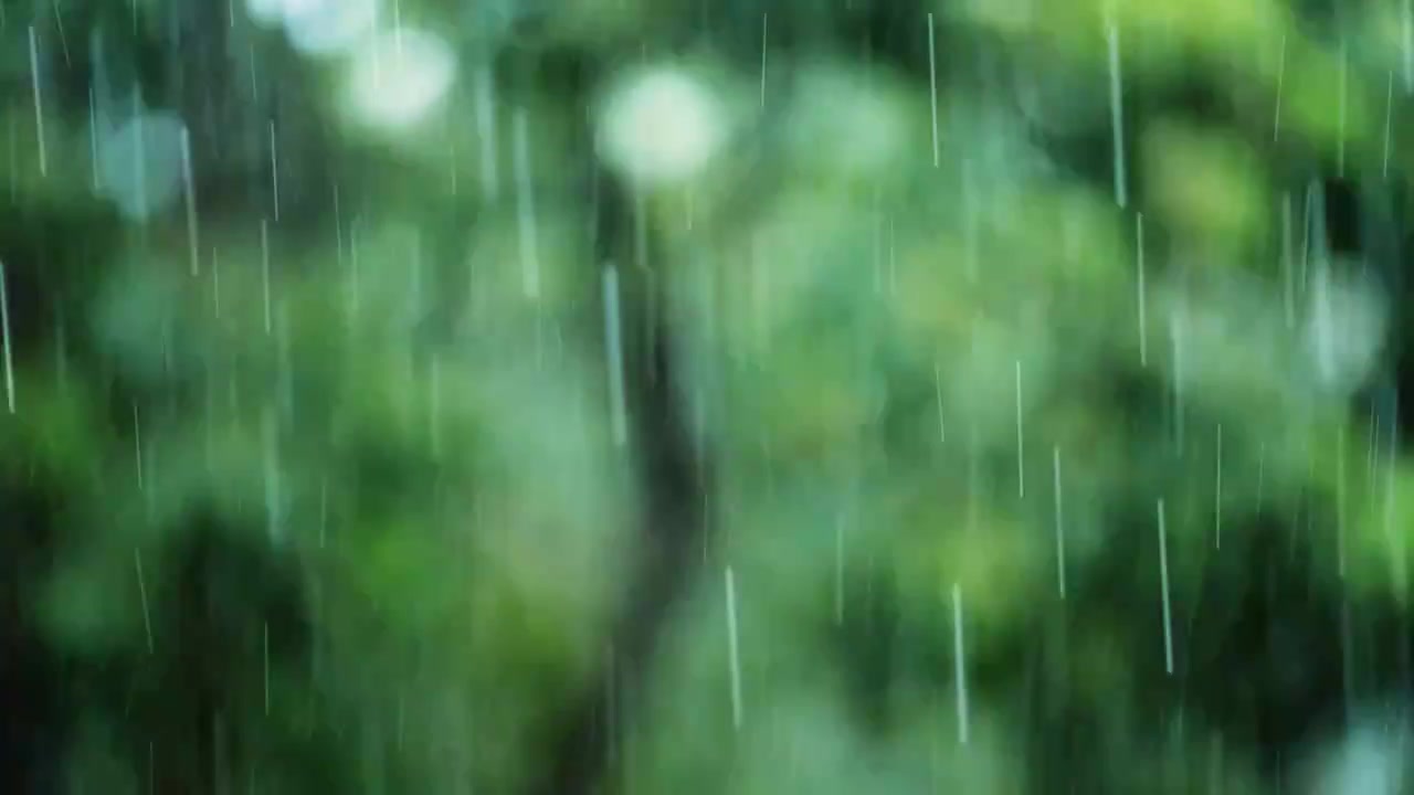 雨下雨小雨雨季谷雨清明雨水中国风意境2视频下载