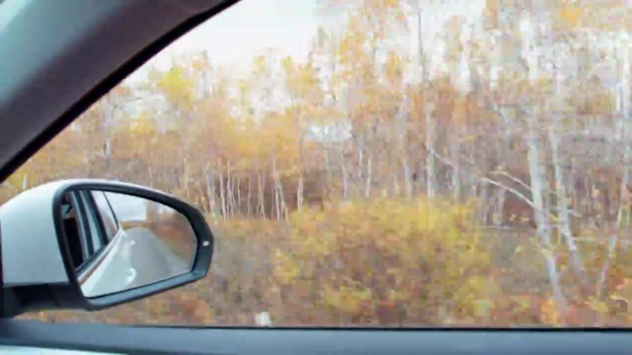 内蒙古大兴安岭呼伦贝尔到满洲里的最美中俄边防公路卡线秋天自然风景视频下载