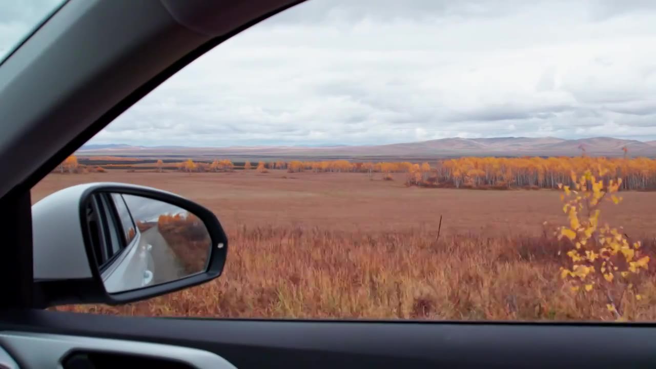 内蒙古大兴安岭呼伦贝尔到满洲里的最美中俄边防公路卡线秋天自然风景视频下载