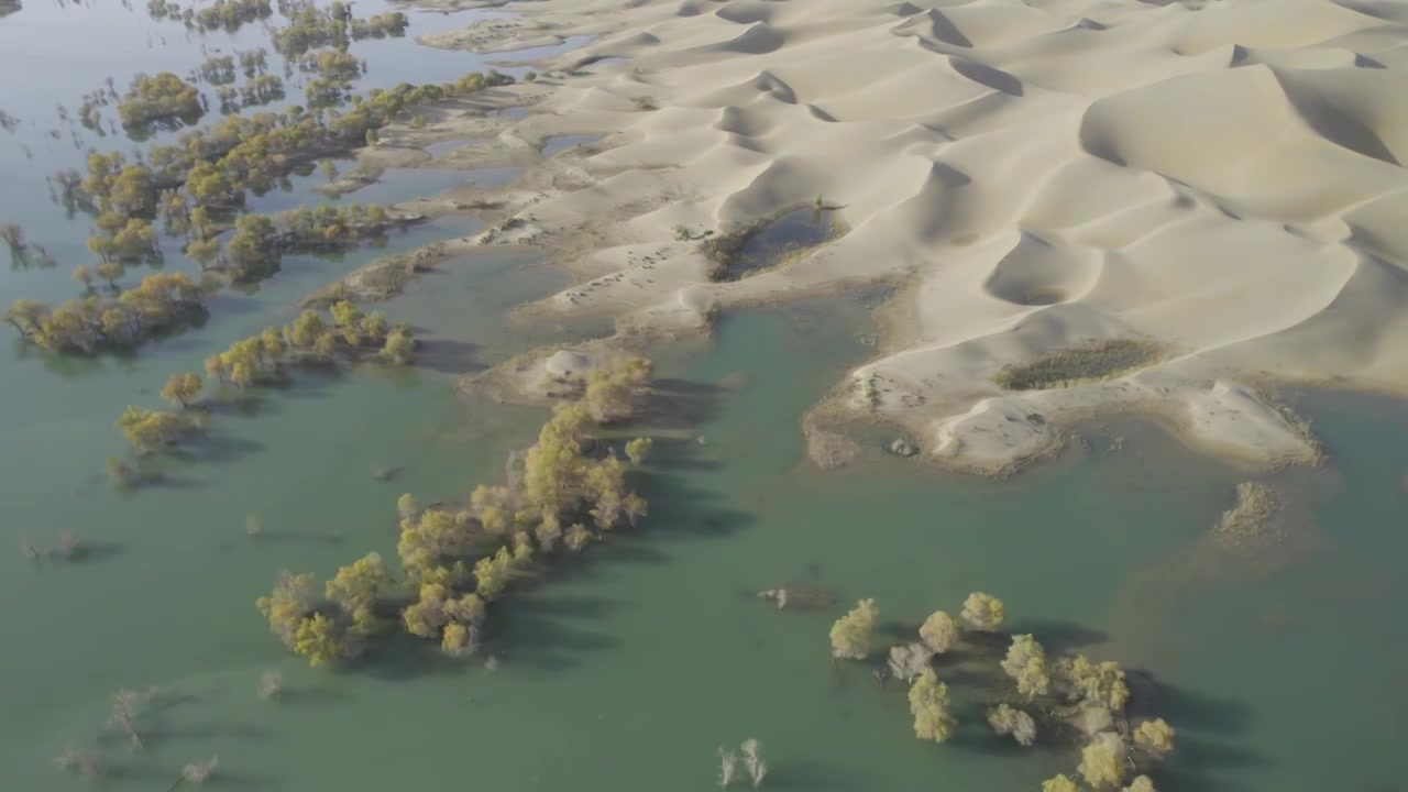 葫芦岛沙漠绿洲胡杨景区视频下载