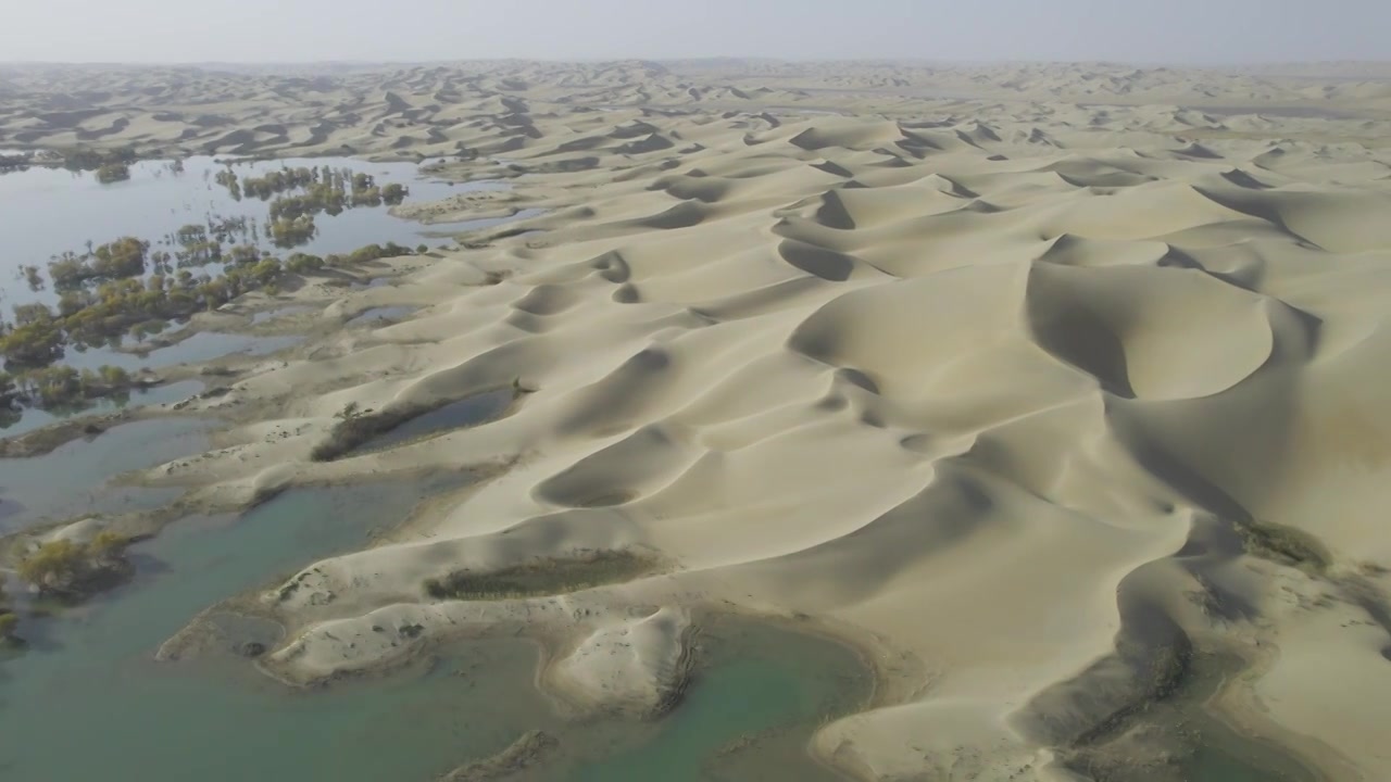 葫芦岛沙漠绿洲胡杨景区视频下载