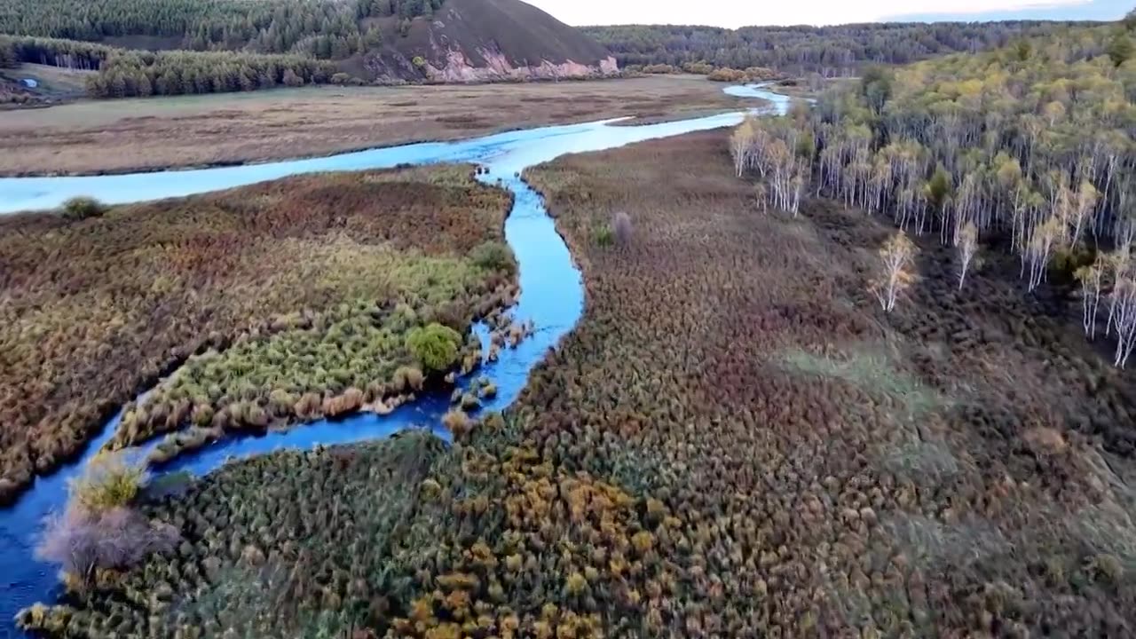 秋天的阿尔山国家森林公园视频下载
