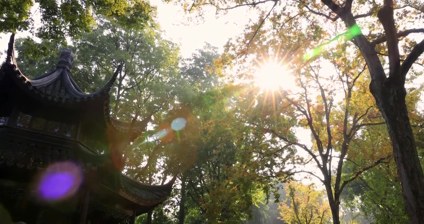 苏州园林拙政园亭台楼阁 初秋的阳光穿透树叶视频下载