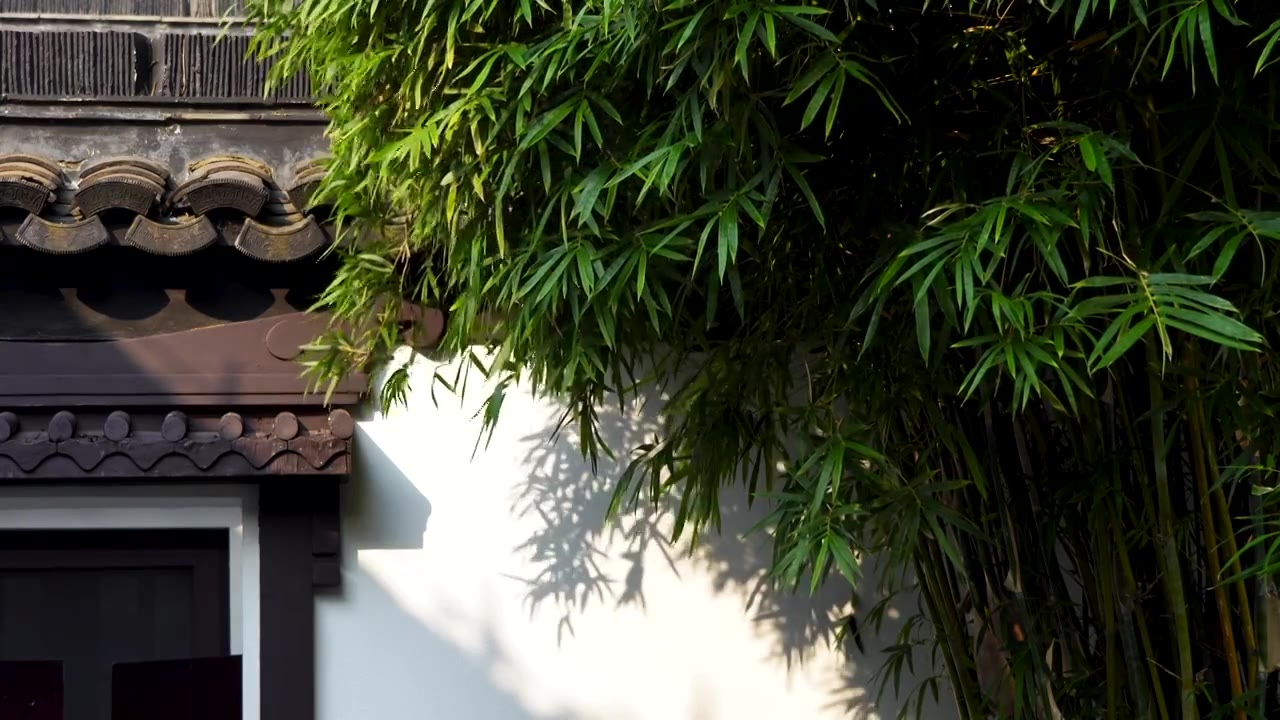 江南园林阳光下竹林竹子在墙上投射的光影空镜视频素材