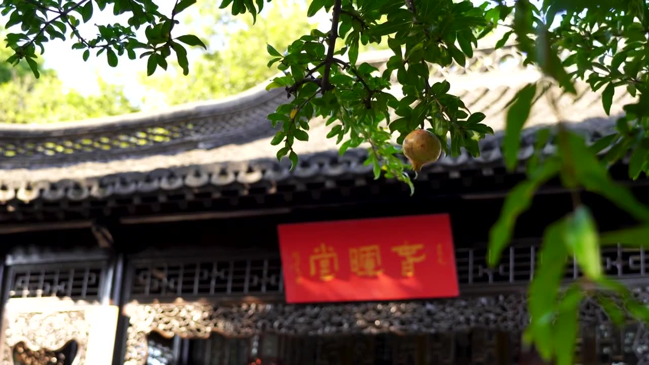 晚清著名江南园林，南京愚园庭院里的石榴视频下载