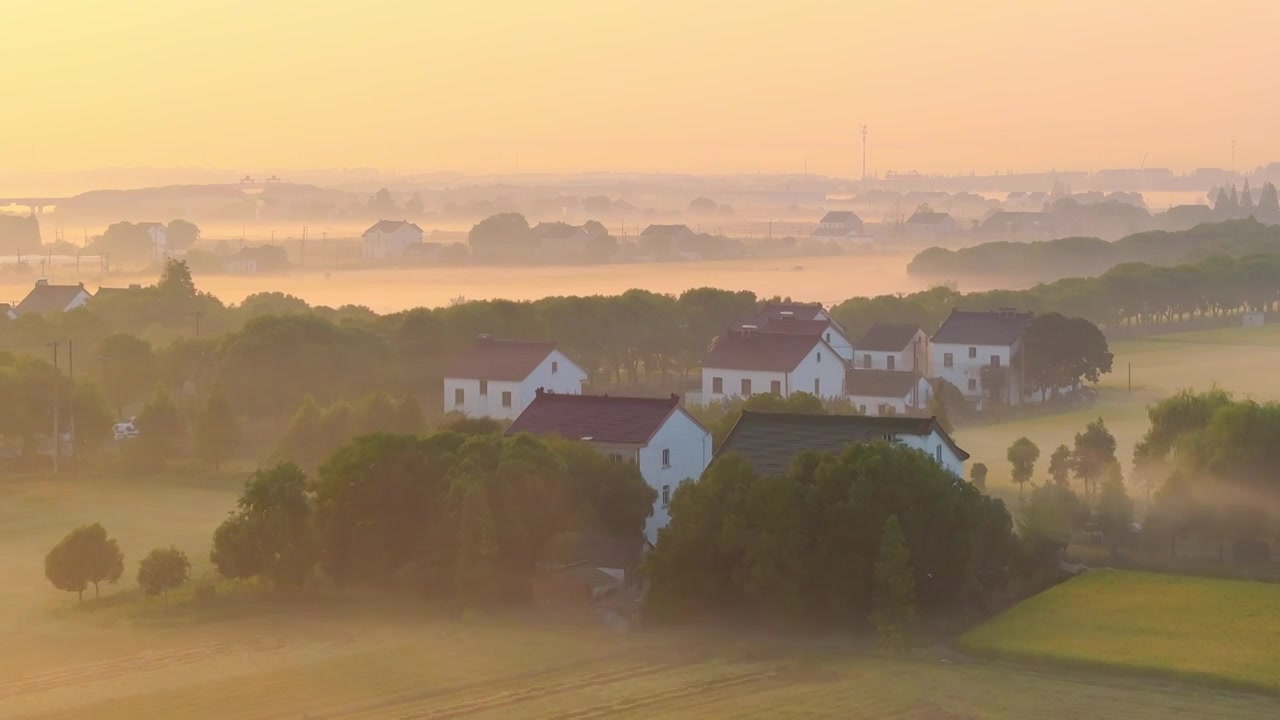 日出清晨时分的苏州美丽乡村北联村稻田矮脚雾风景航拍视频下载