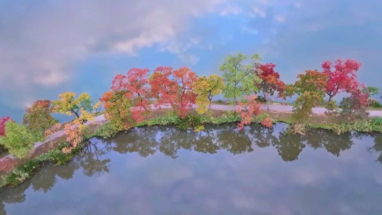 江苏南京植物园南园前湖月牙堤秋色及天空之境视频素材