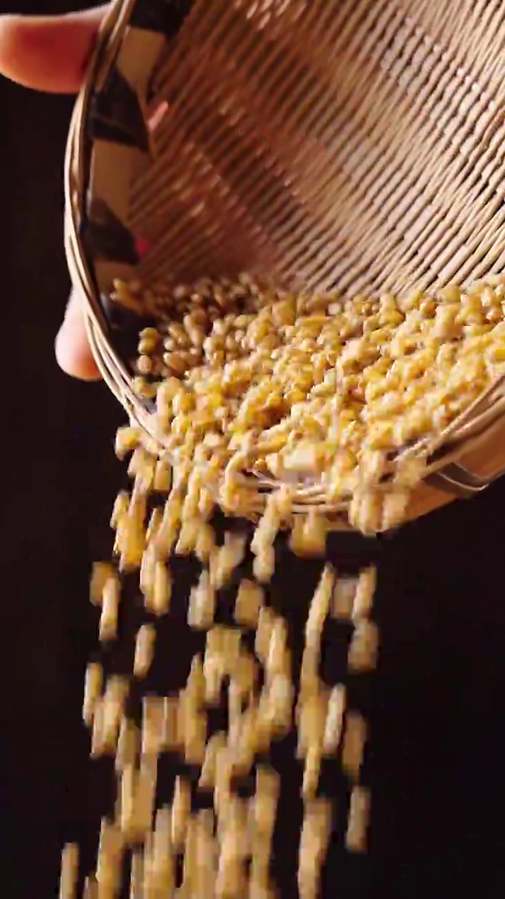 缓慢撒下的小麦，粮食丰收视频下载