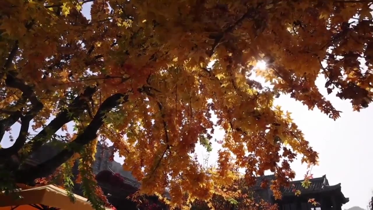 古北水镇的秋天视频下载