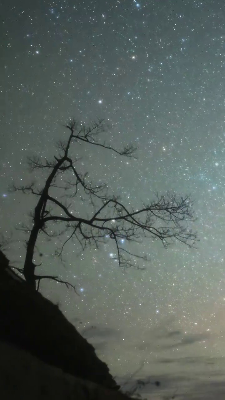 星空延时：宇宙星空树木天空视频下载