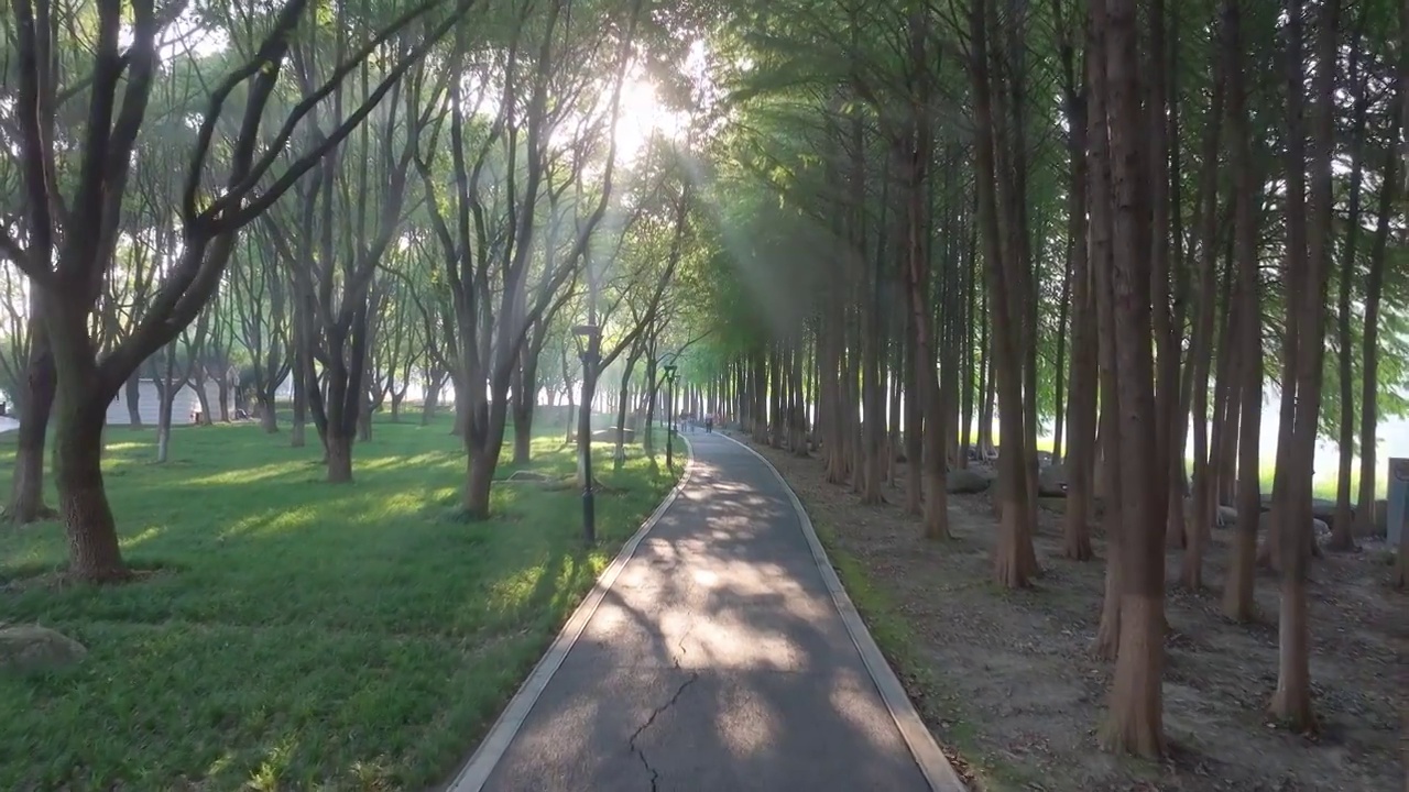 清晨苏州工业园区斜塘河边健身步道上的薄雾与耶稣光，阳光穿透树林洒落在跑步的人身上视频素材