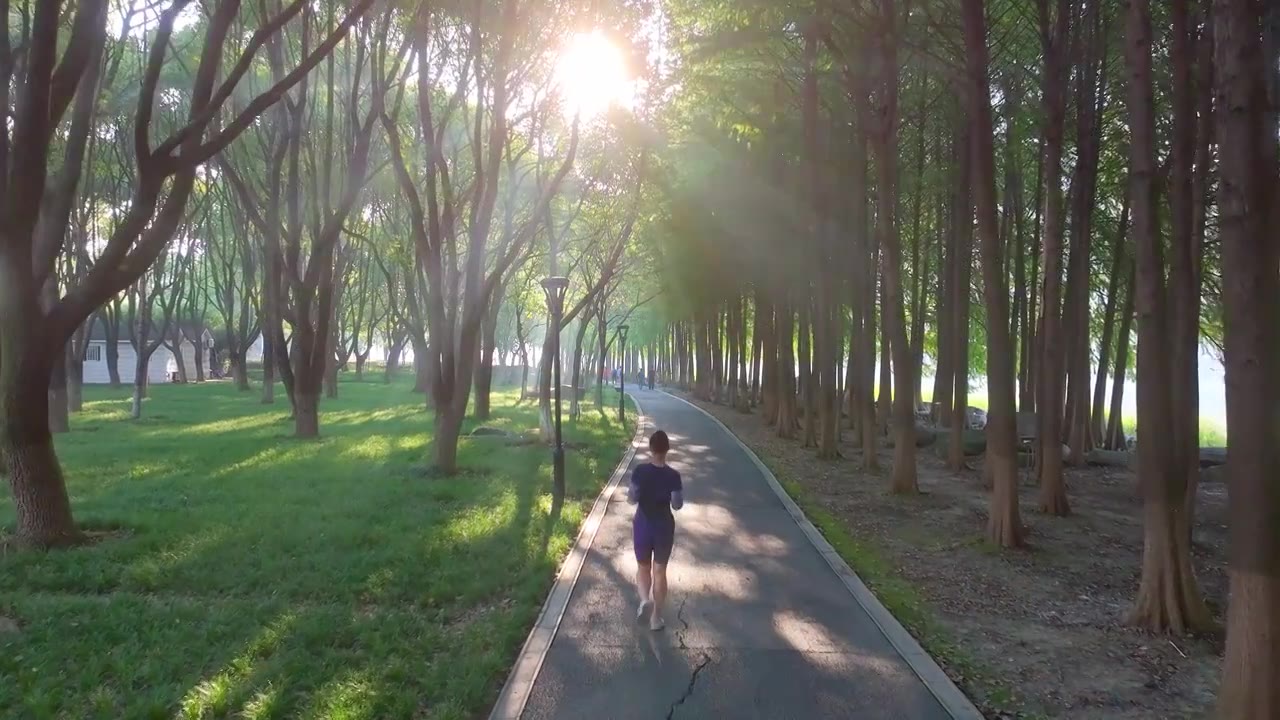 清晨苏州工业园区斜塘河边健身步道上的薄雾与耶稣光，阳光穿透树林洒落在跑步的人身上视频下载
