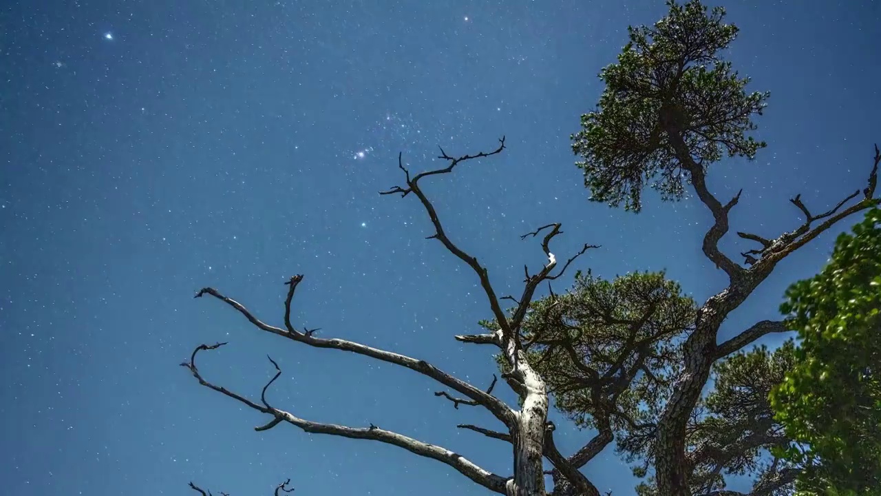 海南五指山热带雨林国家森林公园迎客松星空流星延时视频下载