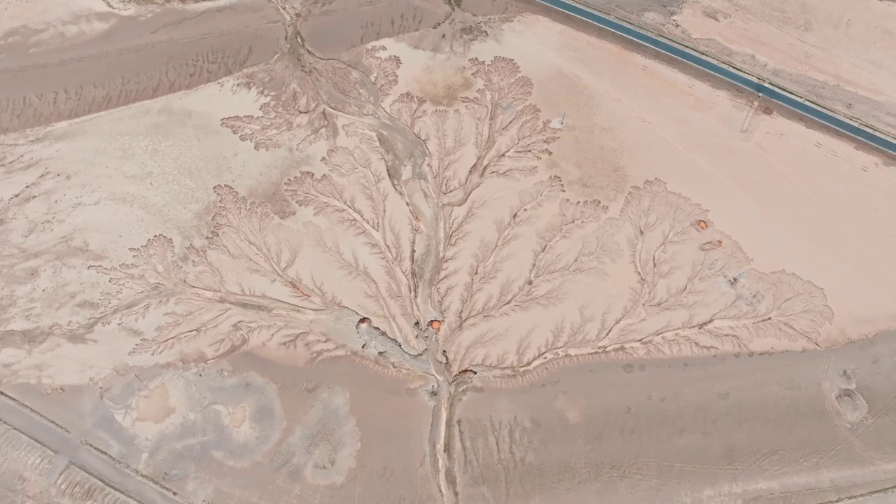航拍西藏阿里大地之树白昼风光视频素材