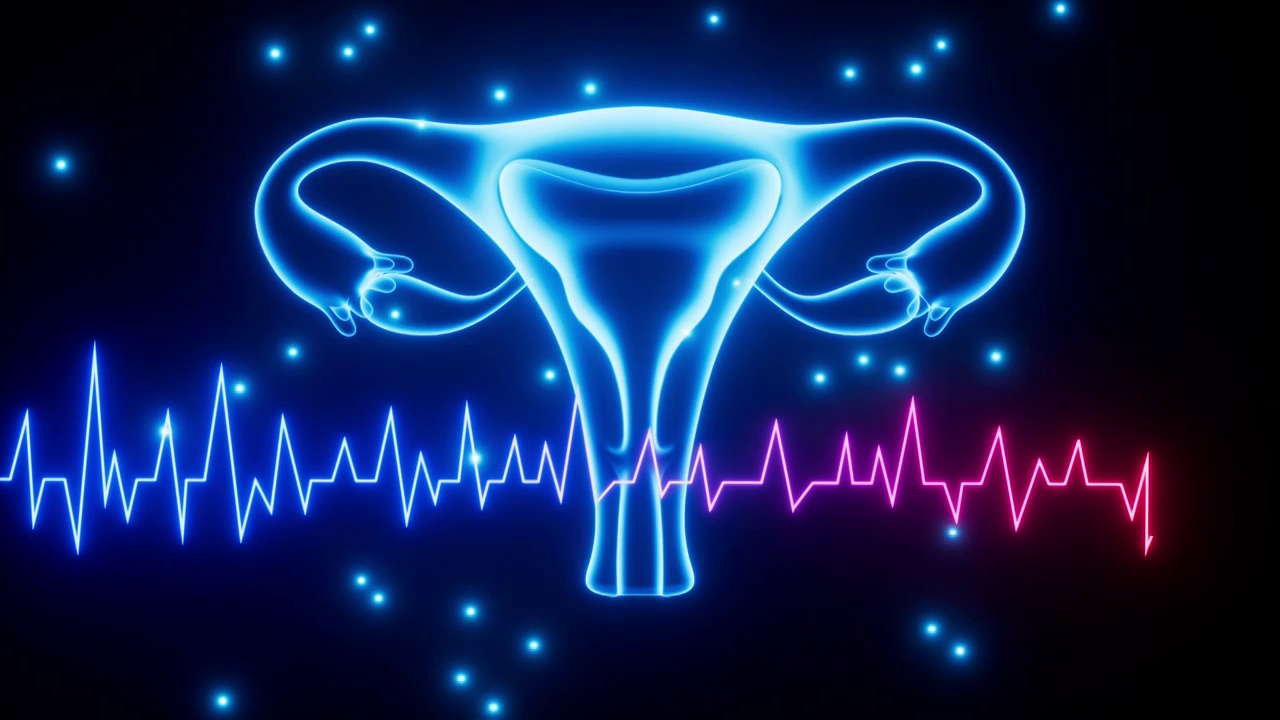 女性子宫生命周期月经周期概念图动画视频下载