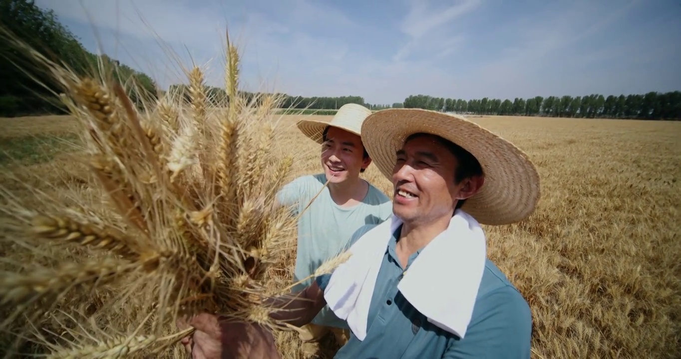 科研人员和农民在麦田里交流技术视频下载