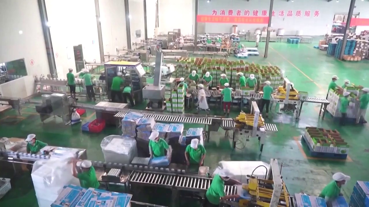 中国2023年轻工业前三季度稳步复苏工厂内部生产（选编）视频下载