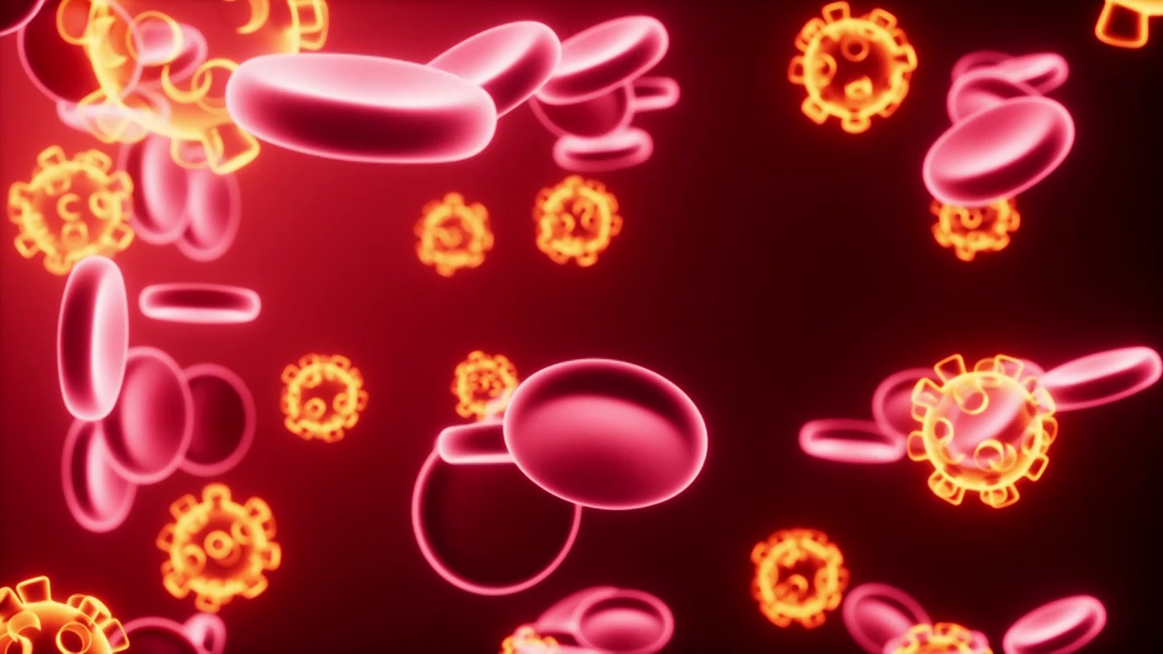 病毒与红细胞医疗生物概念动画视频下载