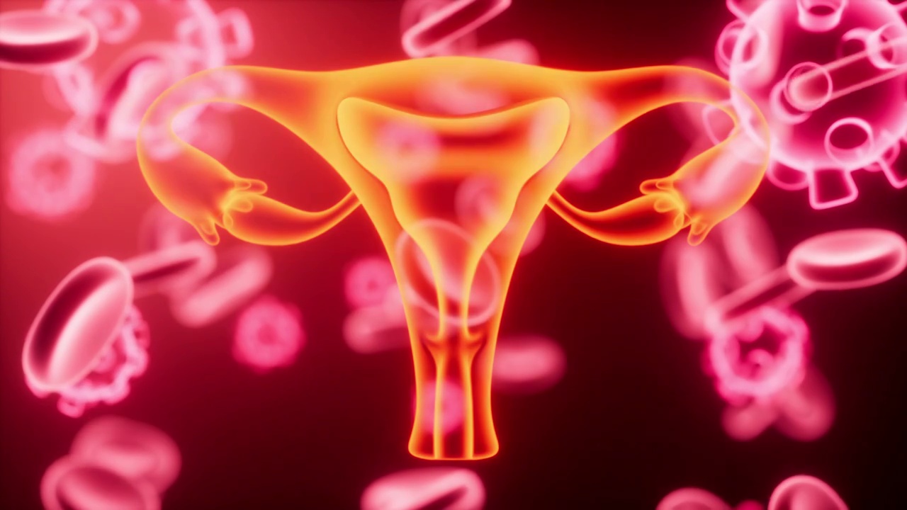 子宫与血细胞生物医疗概念动画视频下载