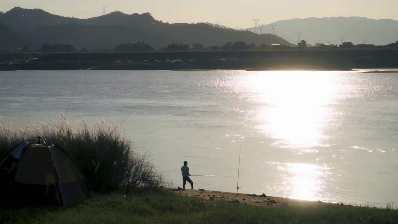 江边芦苇荡和钓鱼的人视频下载