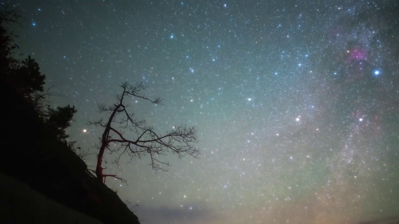 星空延时：秦岭树枝与银河流转视频素材