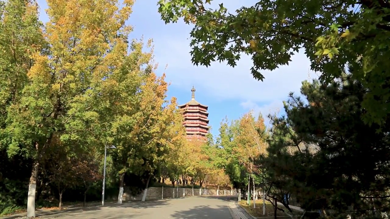 北京丰台区秋日森林中的永定塔视频下载