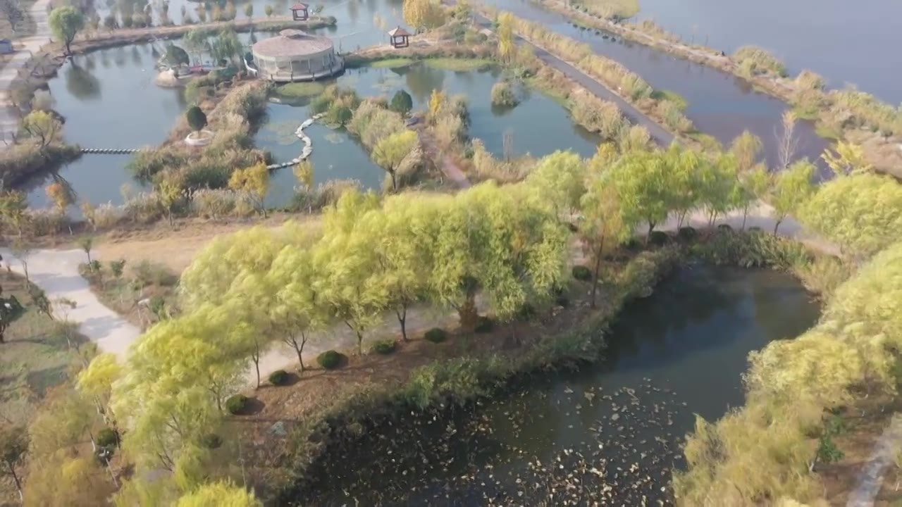 山东枣庄山亭区月亮湾国家湿地公园初冬美景视频素材