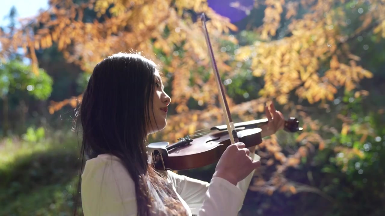 一位年轻美女在植物活化石水杉的故乡湖北利川小河水杉植物园拉小提琴视频下载