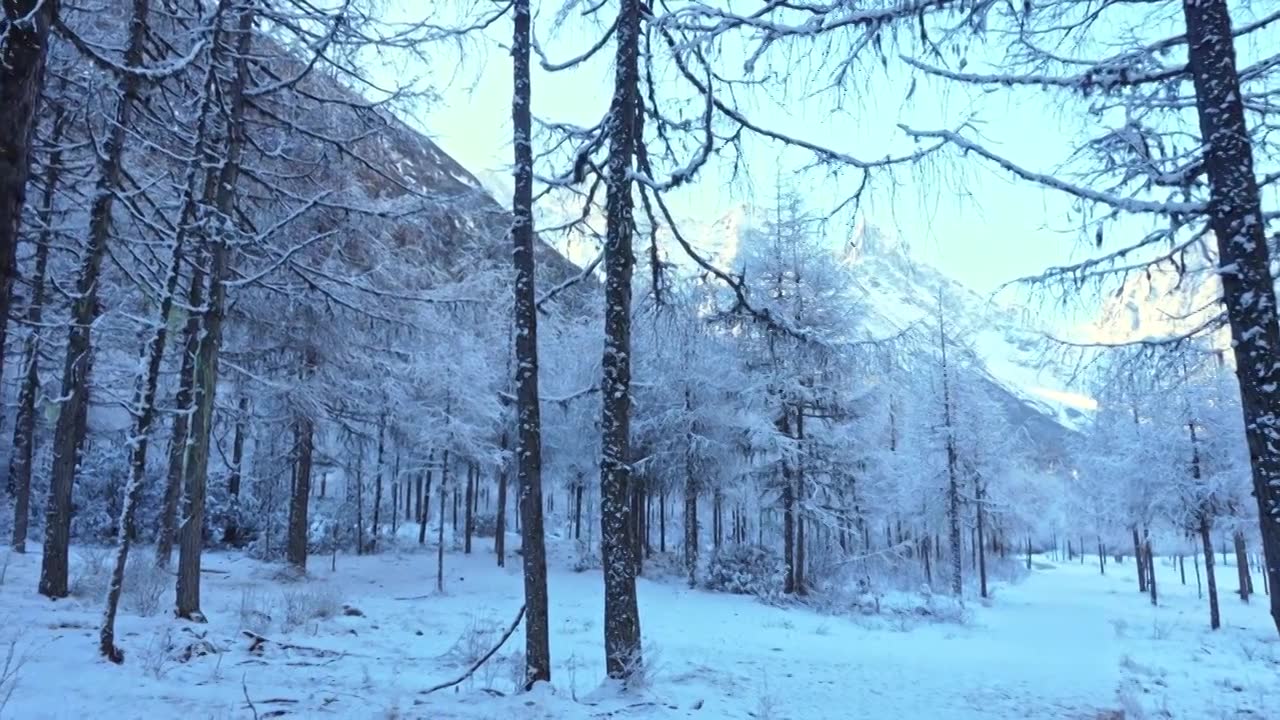 四川省毕棚沟风景区 冬季雪景视频下载