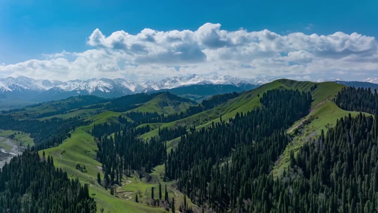 航拍雪山森林风景视频素材