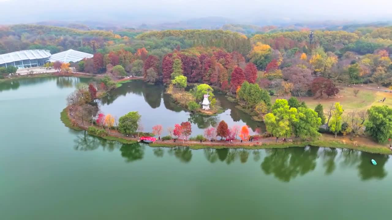 中山植物园前湖秋景视频下载