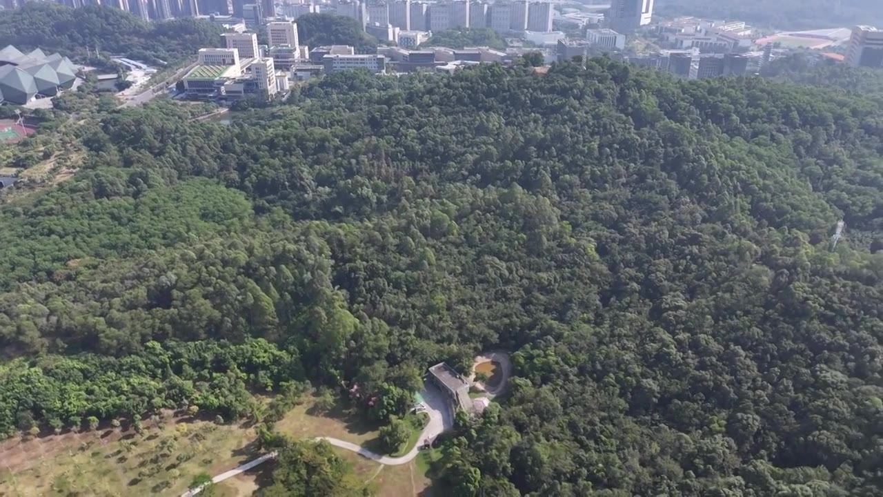 广东省深圳市龙岗区香港中文大学大运自然公园航拍视频下载