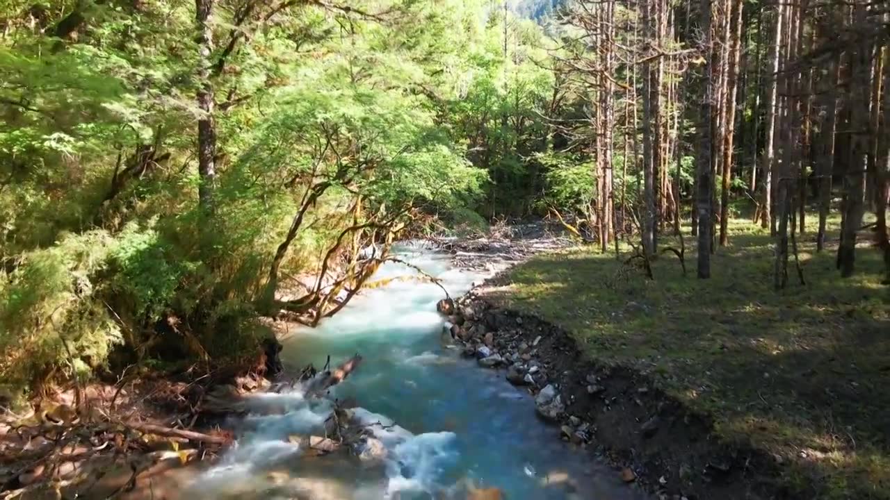 王朗国家级自然保护区 四川绵阳视频下载