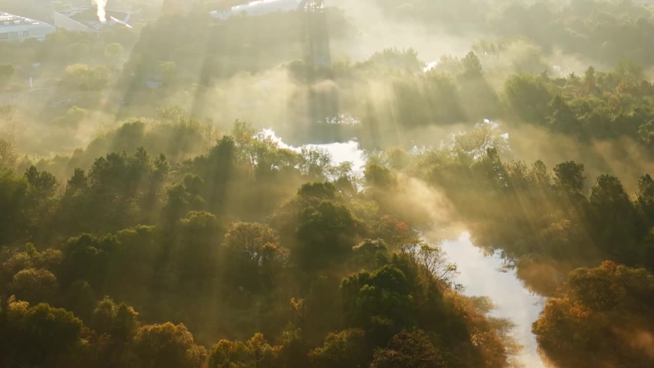 航拍杭州西溪湿地晨雾光影4k视频下载