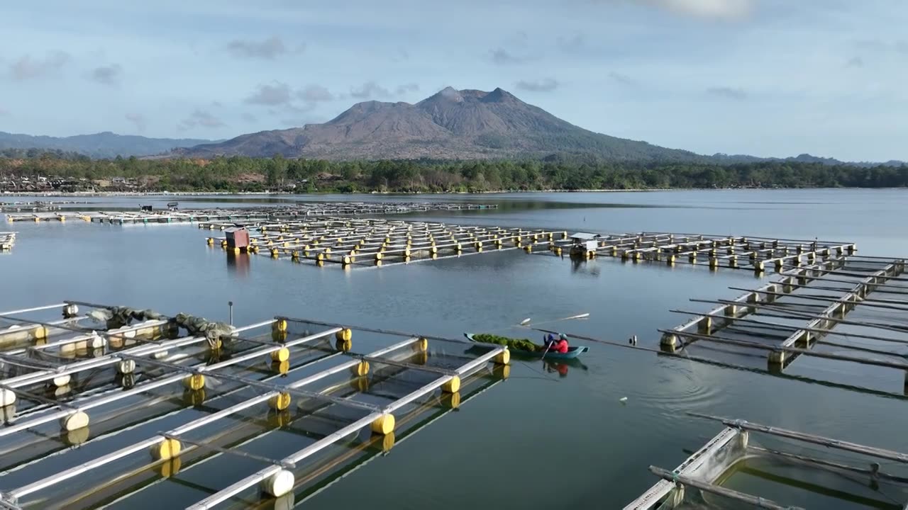印尼巴厘岛京打马尼巴图尔火山湖养殖业航拍自然风光视频素材
