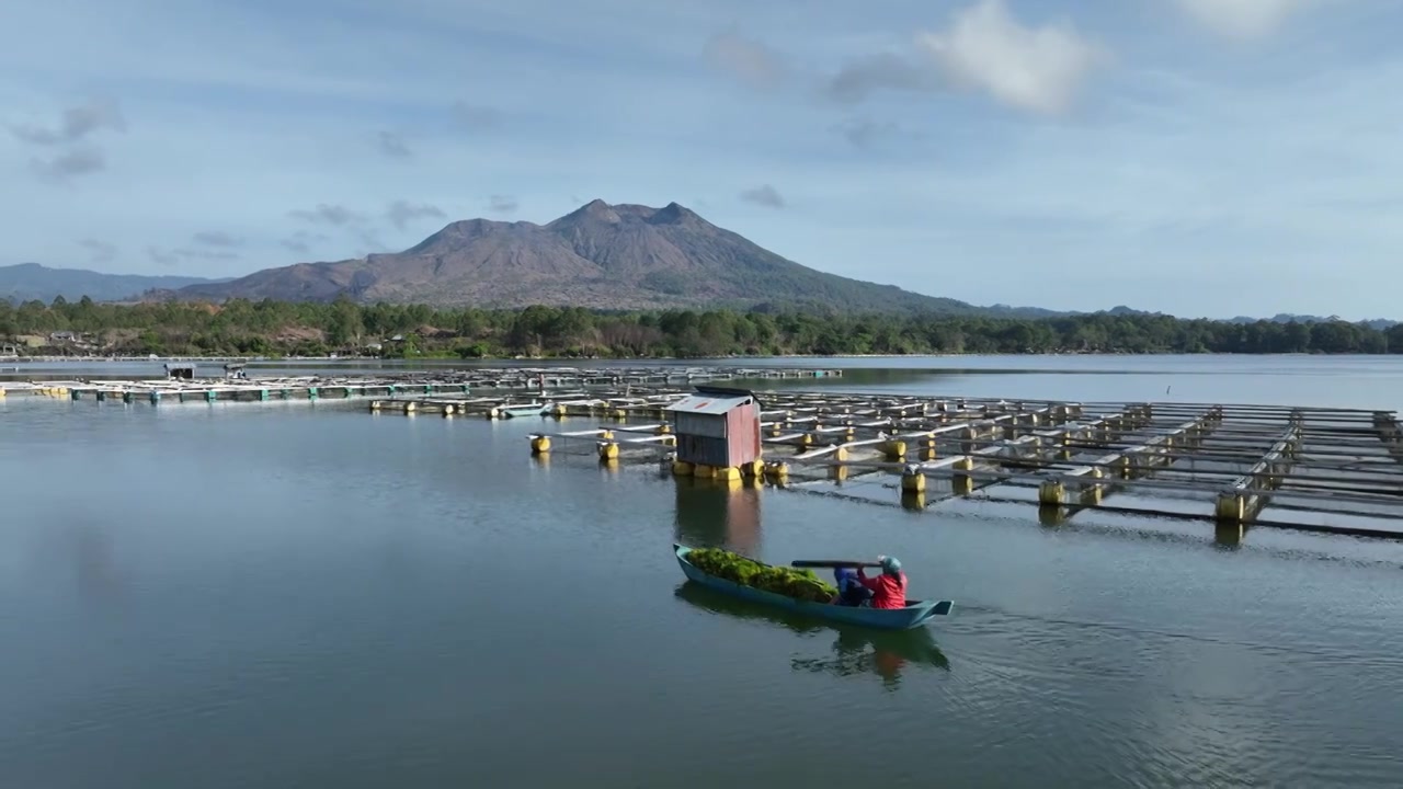 印尼巴厘岛京打马尼巴图尔火山湖养殖业航拍自然风光视频素材
