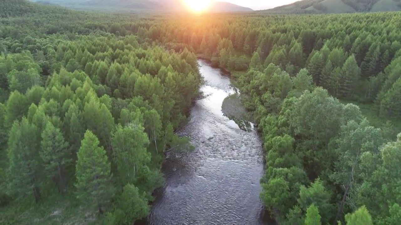 航拍阳光照耀的森林河湾视频下载