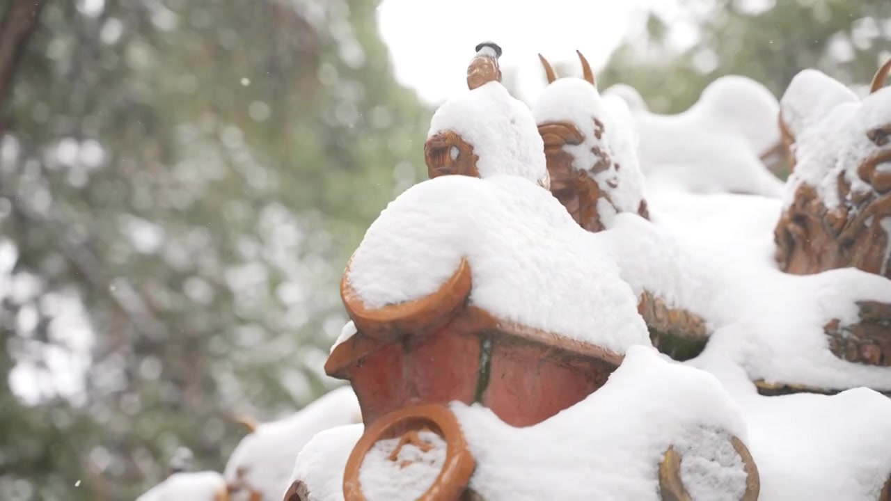 下雪中的故宫博物院视频购买