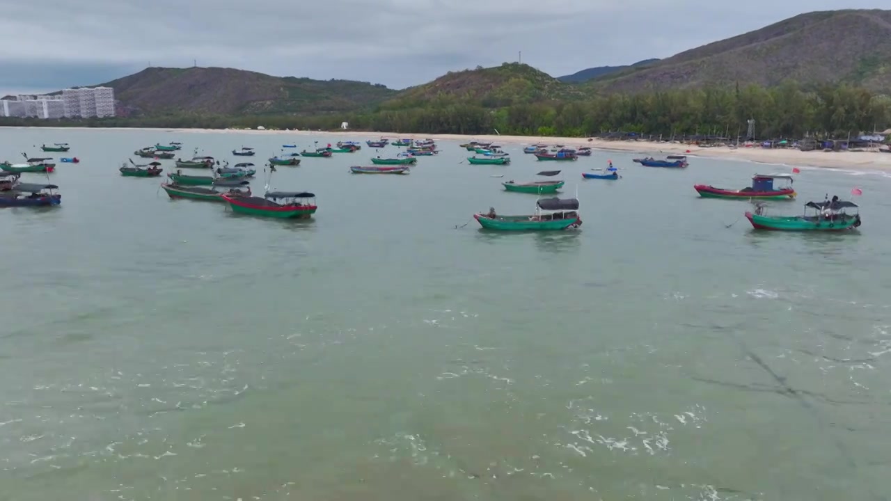 渔港里的渔船视频下载