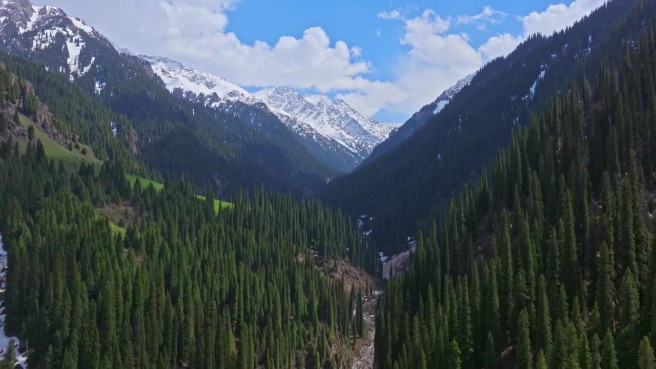 雪山森林自然风景航拍视频下载