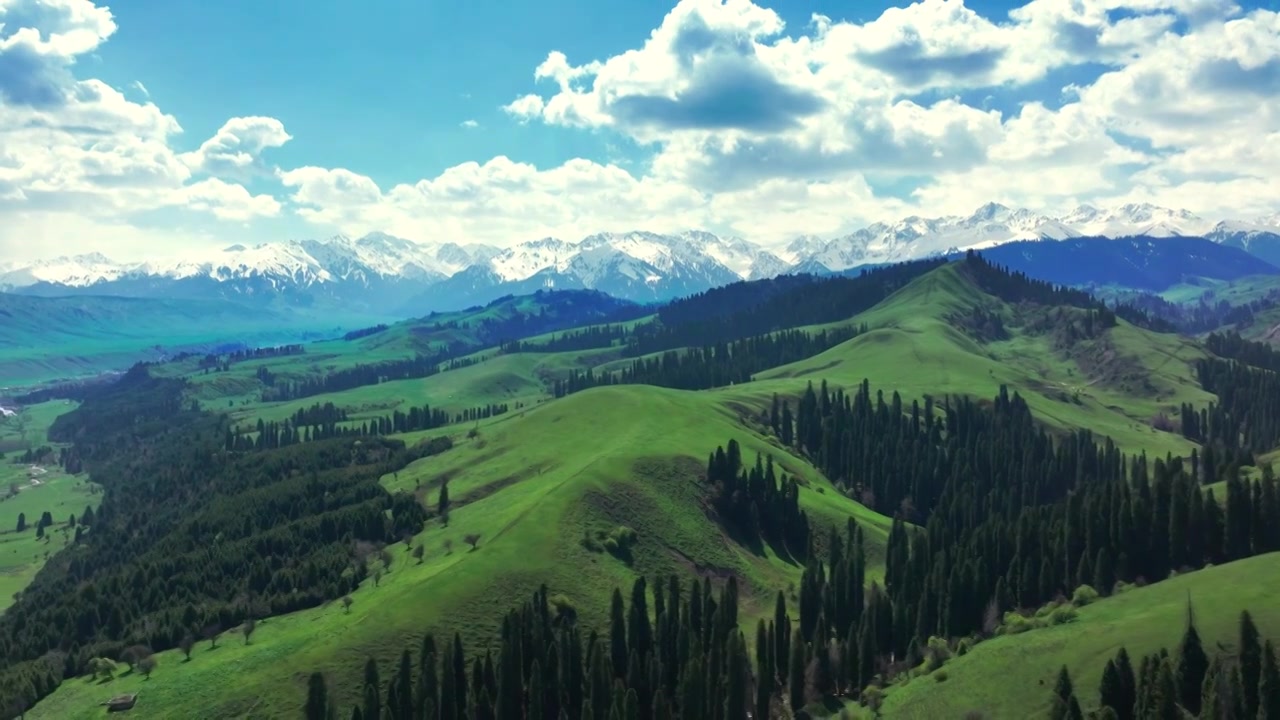 雪山森林自然风景航拍视频下载
